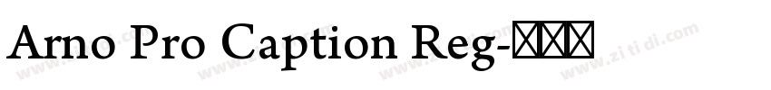 Arno Pro Caption Reg字体转换